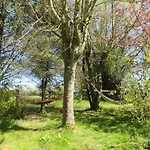 Le Chant Des Fees Notre-Dame-de-Courson