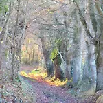 Le Chant Des Fees Notre-Dame-de-Courson