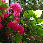 Bed & Breakfast Le Chant Des Fees