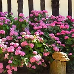 Bed & Breakfast Le Chant Des Fees 3*