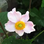 Le Chant Des Fees Bed & Breakfast