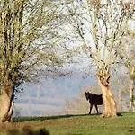 Bed & Breakfast Le Chant Des Fees 3*