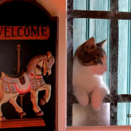 Le Chant Des Fees לינה וארוחת בוקר Notre-Dame-de-Courson