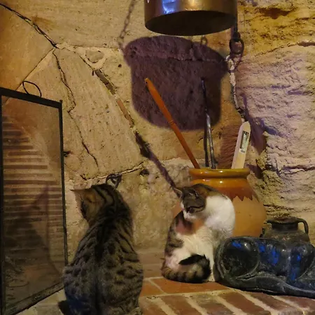 Le Chant Des Fees 3*