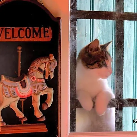 Le Chant Des Fees Bed & Breakfast Notre-Dame-de-Courson