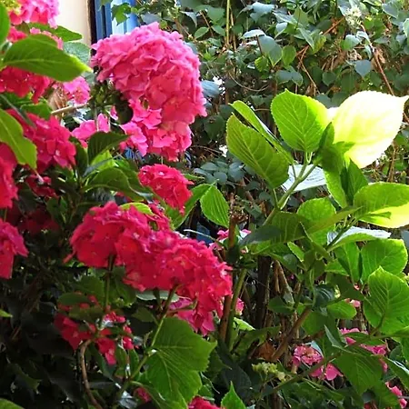 Bed & Breakfast Le Chant Des Fees 3*