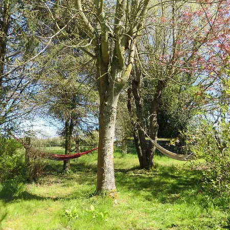 Le Chant Des Fees Notre-Dame-de-Courson