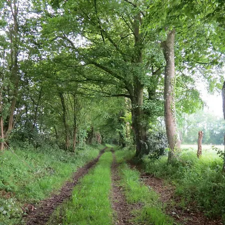 Le Chant Des Fees Frühstückspension Notre-Dame-de-Courson