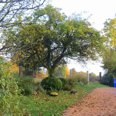 Le Chant Des Fees 3*