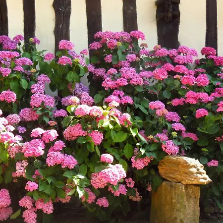 Frühstückspension Le Chant Des Fees 3*