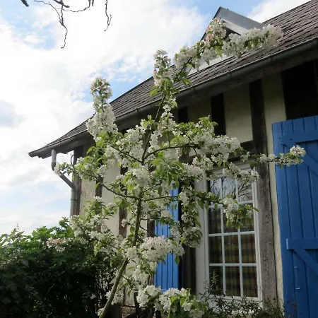 Le Chant Des Fees Notre-Dame-de-Courson