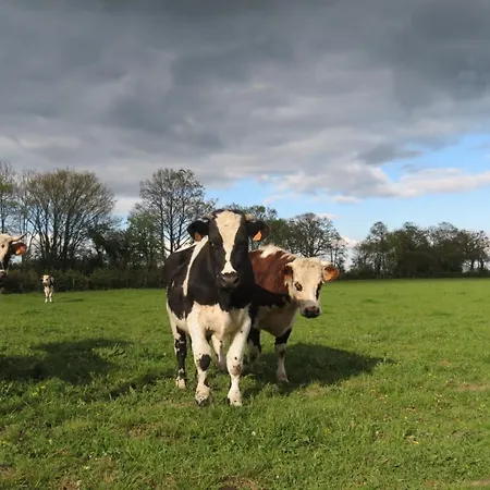 Le Chant Des Fees Frühstückspension Notre-Dame-de-Courson
