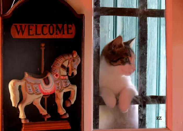 Le Chant Des Fees Nocleg ze śniadaniem Notre-Dame-de-Courson