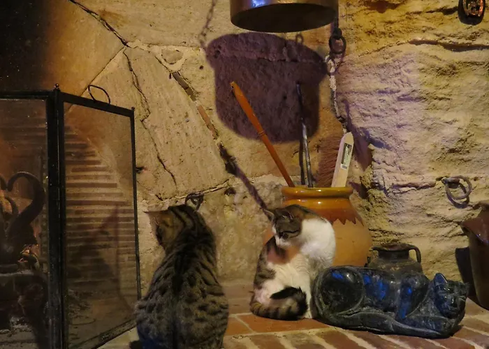 Le Chant Des Fees 3*