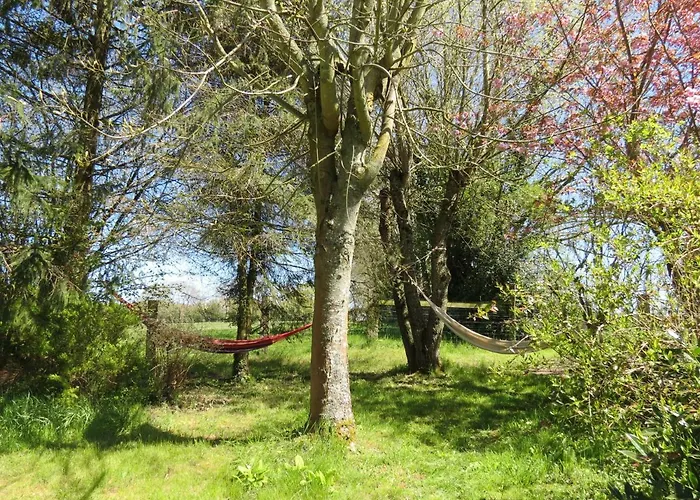 Le Chant Des Fees Notre-Dame-de-Courson