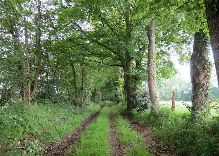 Le Chant Des Fees Nocleg ze śniadaniem Notre-Dame-de-Courson
