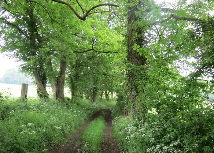 Le Chant Des Fees Nocleg ze śniadaniem 3*