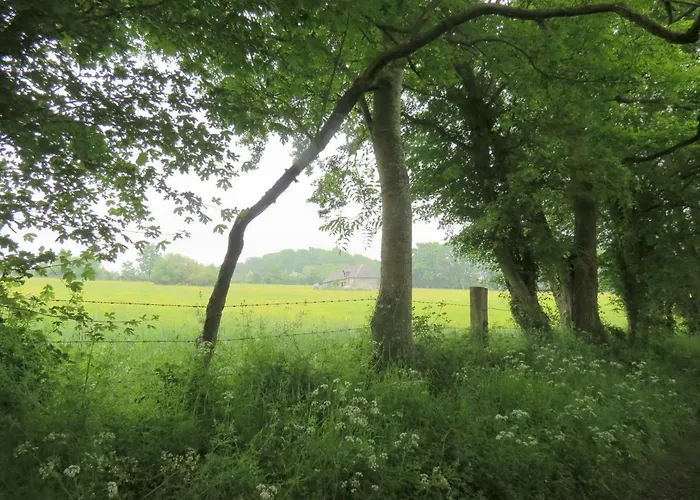 Nocleg ze śniadaniem Le Chant Des Fees