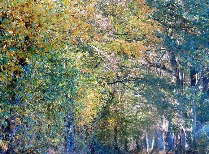 Nocleg ze śniadaniem Le Chant Des Fees 3*