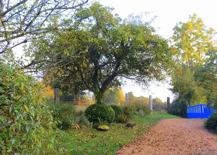 Le Chant Des Fees 3*