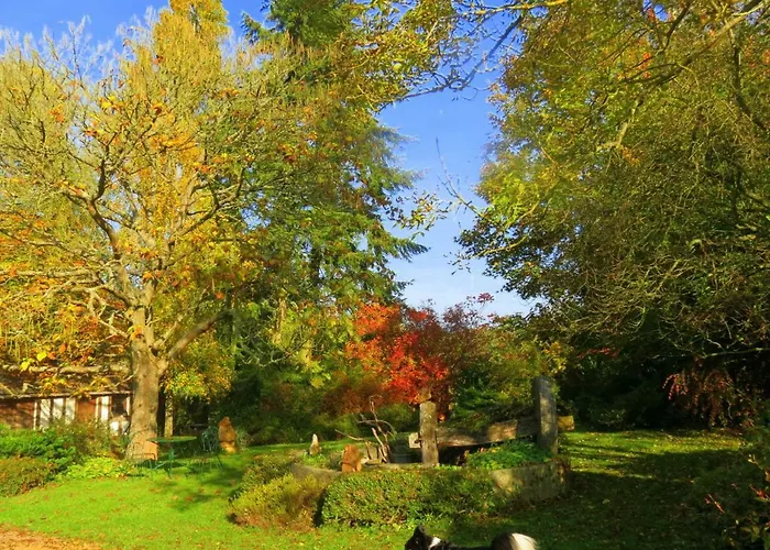 Le Chant Des Fees 3* Notre-Dame-de-Courson