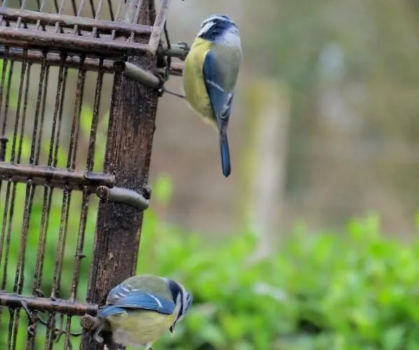 Le Chant Des Fees Nocleg ze śniadaniem 3*