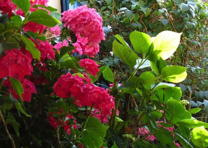 Nocleg ze śniadaniem Le Chant Des Fees