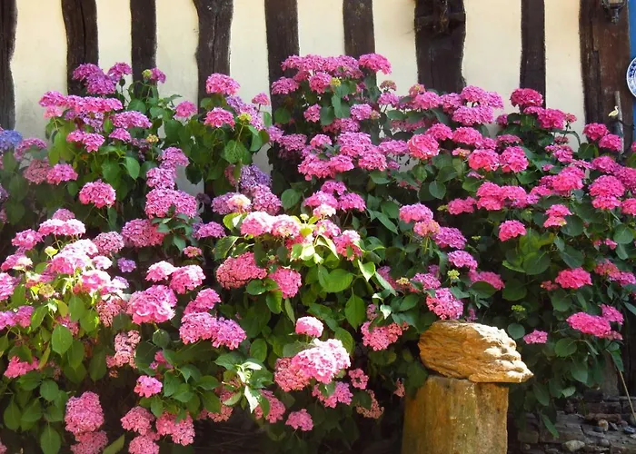 Nocleg ze śniadaniem Le Chant Des Fees 3*