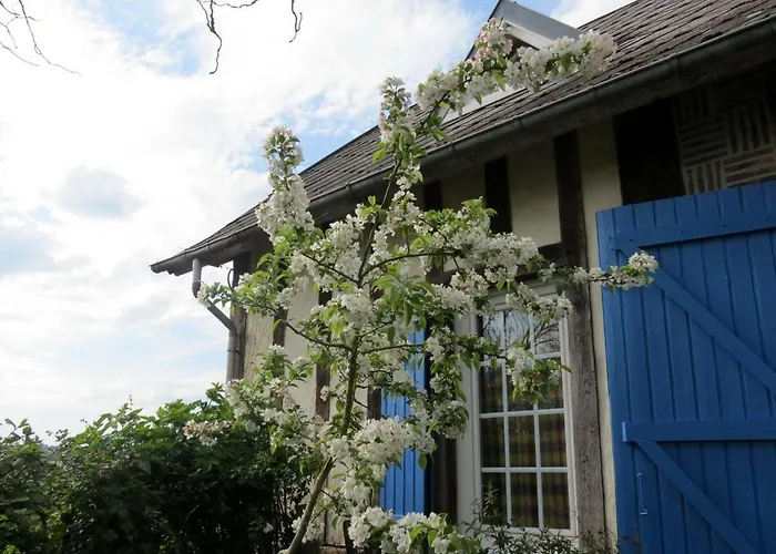 Le Chant Des Fees Notre-Dame-de-Courson