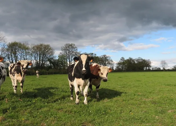 Le Chant Des Fees Nocleg ze śniadaniem Notre-Dame-de-Courson