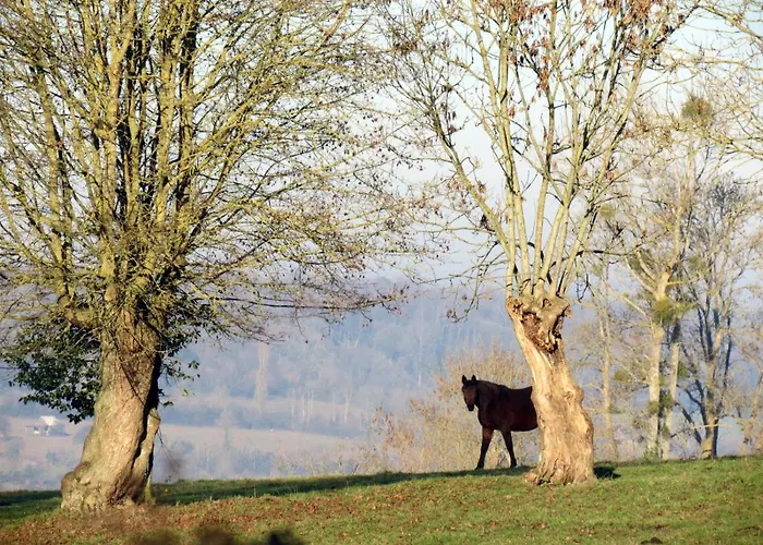 Nocleg ze śniadaniem Le Chant Des Fees 3*